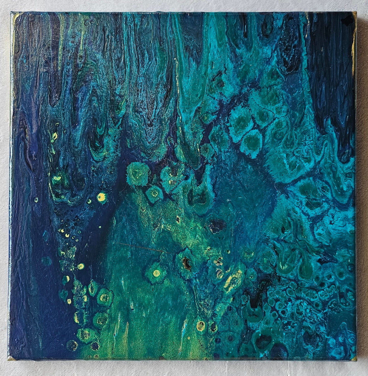 Algae
