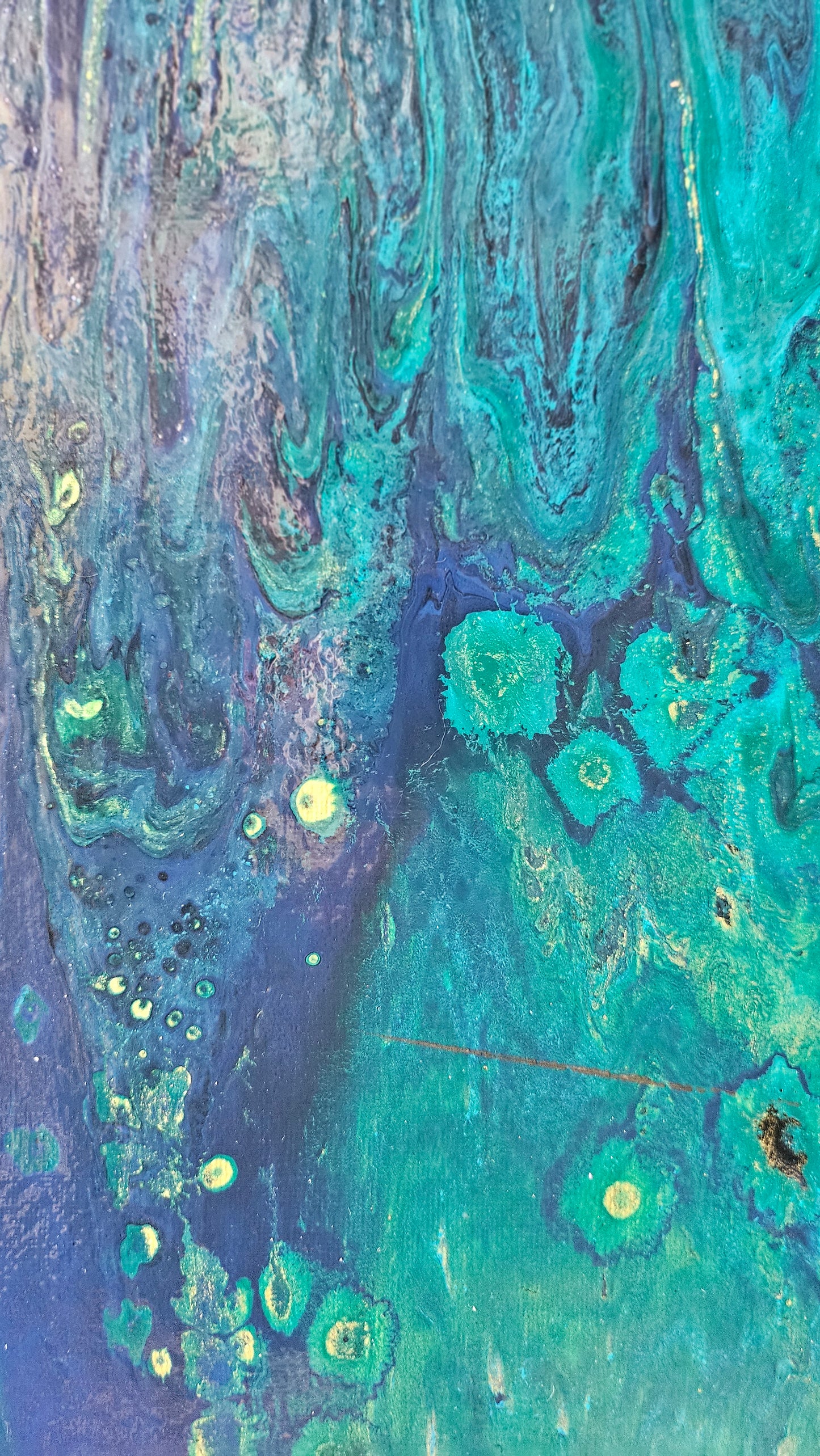 Algae