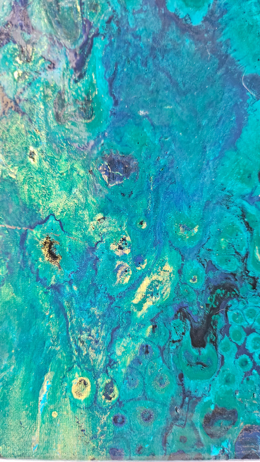 Algae